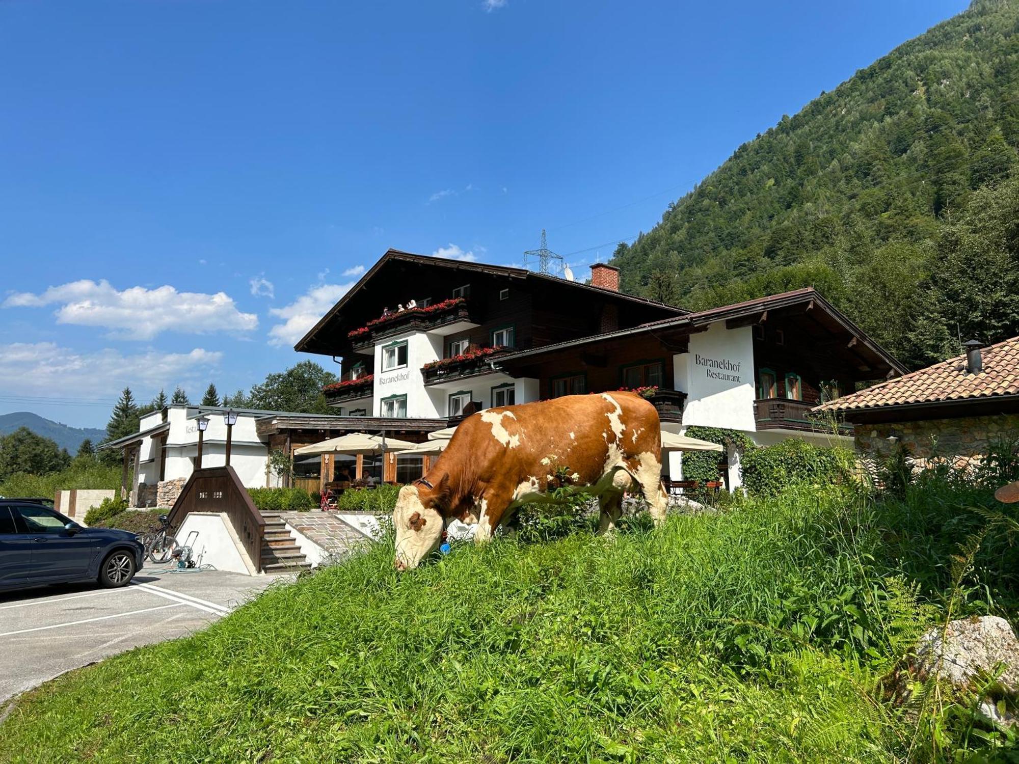 Pension Baranekhof - Accommodation In Nature - Baranek Resorts Kaprun Kültér fotó